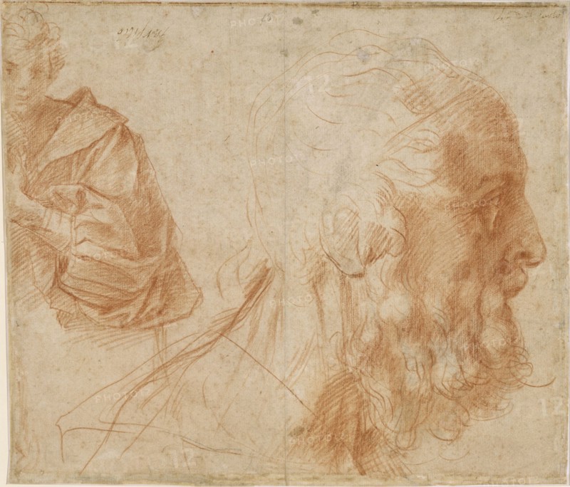 A youth and the head of an old man (Homer?). Study, ca 1521. Artist: Andrea del Sarto (1486-1531)
