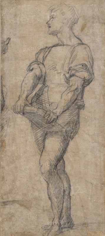 Standing youth holding a book, ca 1515. Artist: Andrea del Sarto (1486-1531)
