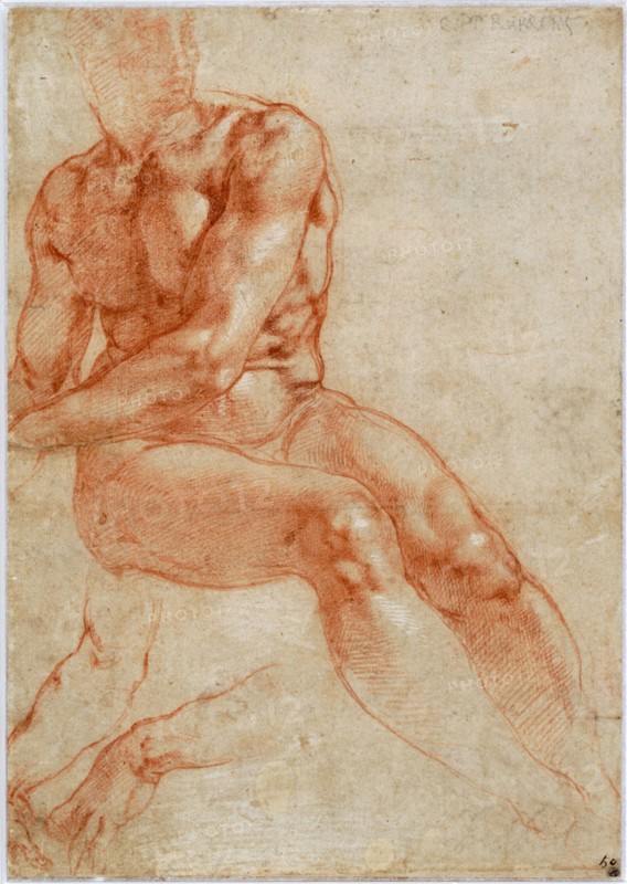 Seated Young Male Nude and Two Arm Studies, ca 1510-1511. Artist: Buonarroti, Michelangelo (1475-1564)