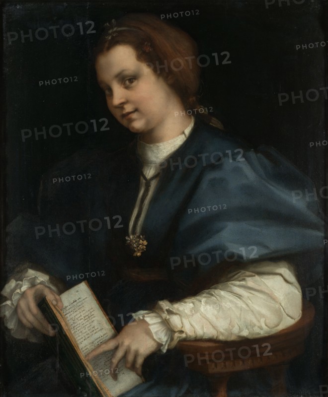 Lady with a book of Petrarch's rhyme, 1528. Artist: Andrea del Sarto (1486-1531)