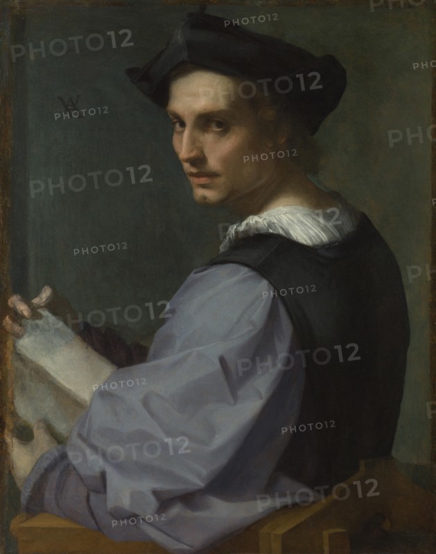 Portrait of a Young Man, ca 1518. Artist: Andrea del Sarto (1486-1531)