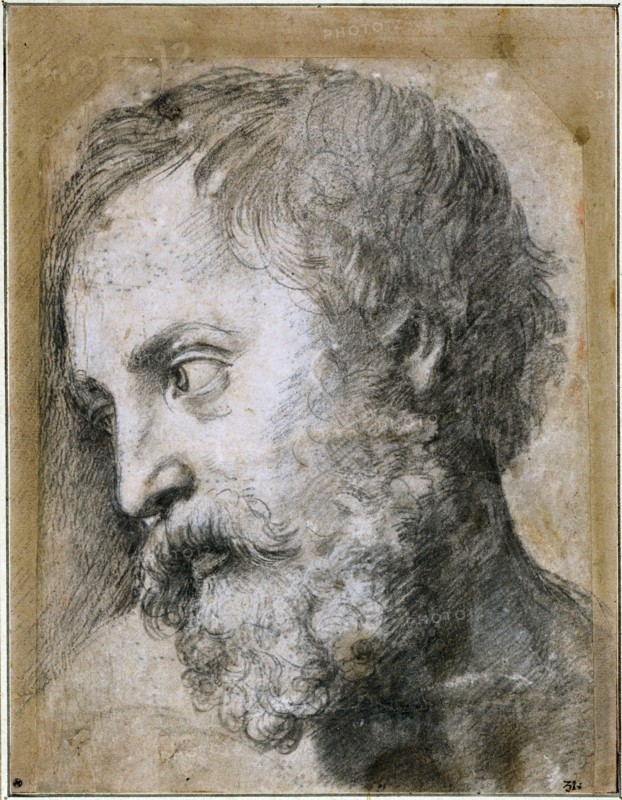 Head of An Apostle (Study for Transfiguration), 1519-1520. Artist: Raphael (1483-1520)