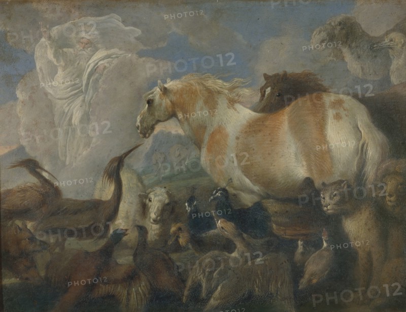 The Creation, Mid of 17th cen.. Artist: Castiglione, Giovanni Benedetto (1610-1665)