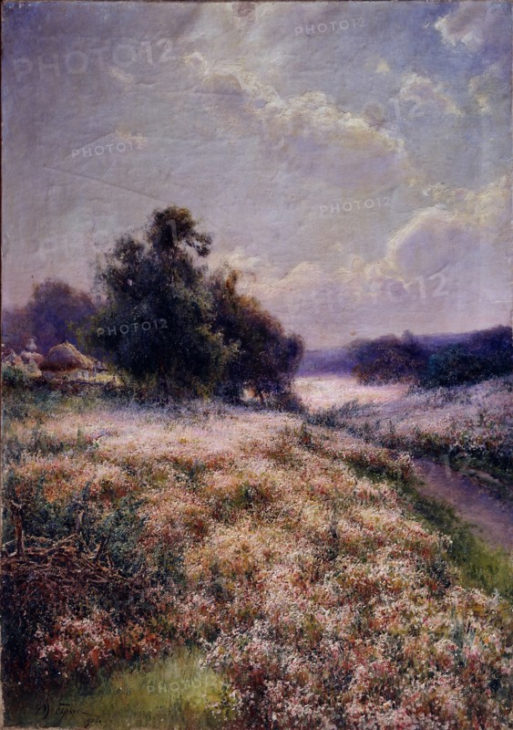 Blooming Meadow, 1906. Artist: Berkos, Mikhail Andreyevich (1861-1919)