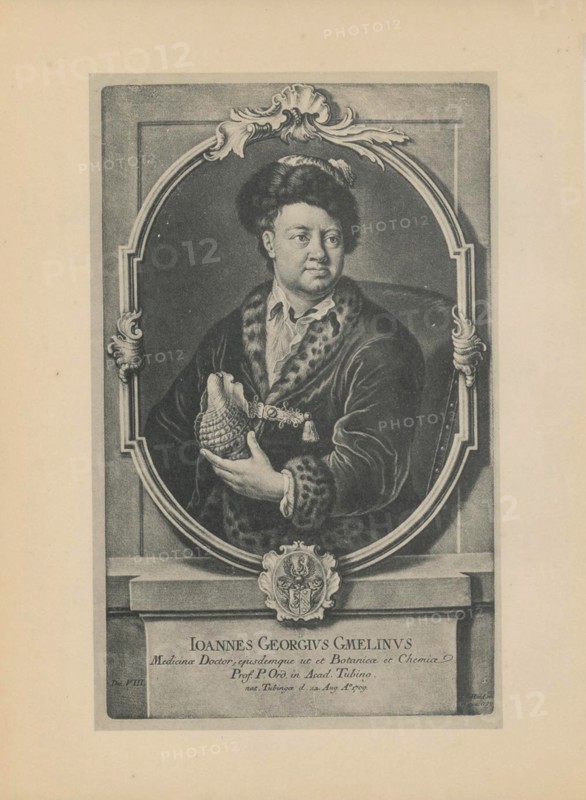 Portrait of the naturalist, botanist and geographer Johann Georg Gmelin (1709-1755), Mid of the 18th cen.. Artist: Haid (Hayd), Johann Jacob (1704-1767)