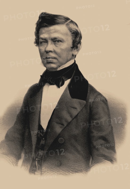 Portrait of the poet Vladimir Grigoryevich Benediktov (1807-1873), 1870. Artist: Lushev, Andrey Mikhaylovich (1822-?)