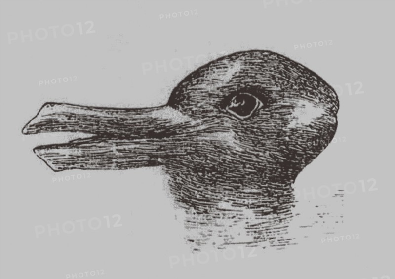 Duck-Rabbit illusion. From: Jastrow, J. The mind's eye. Popular Science Monthly, 1899. Artist: Jastrow, Joseph (1863-1944)