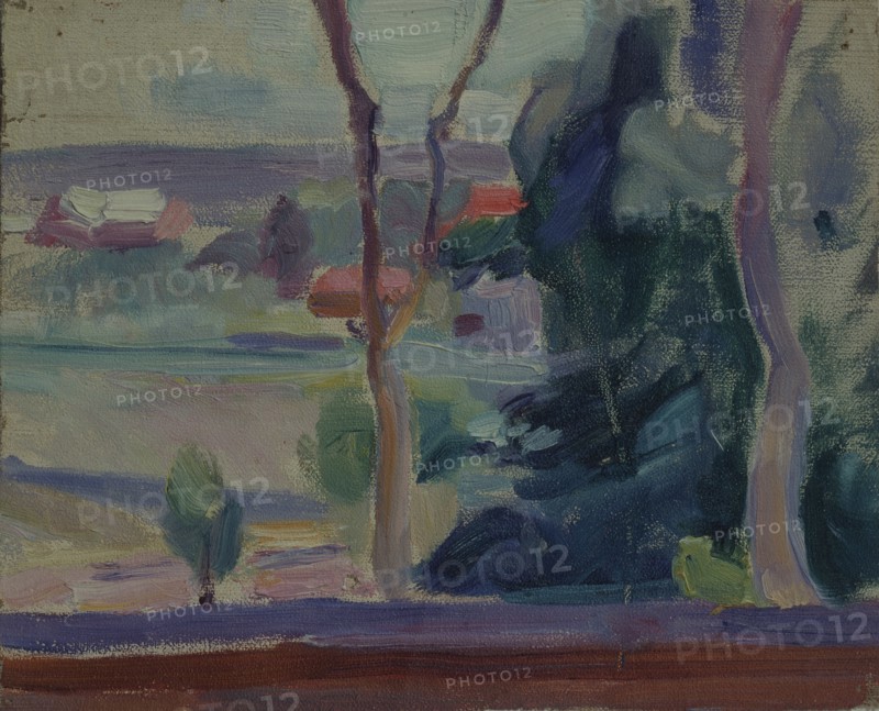 Landscape, 1905. Artist: Guro, Yelena Genrichovna (1877-1913)