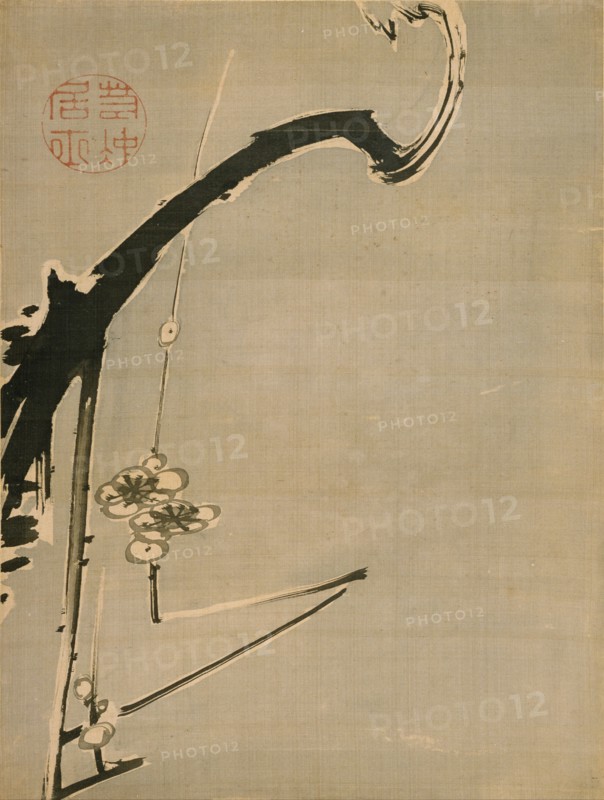 Plum Blossoms, 18th century. Artist: Jakuchu, Ito (1716-1800)