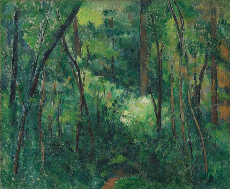 Interior of a forest, ca 1885. Artist: Cézanne, Paul (1839-1906)