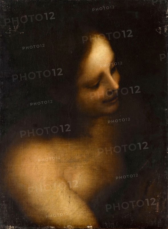 Bust-length female nude. Artist: Anonymous