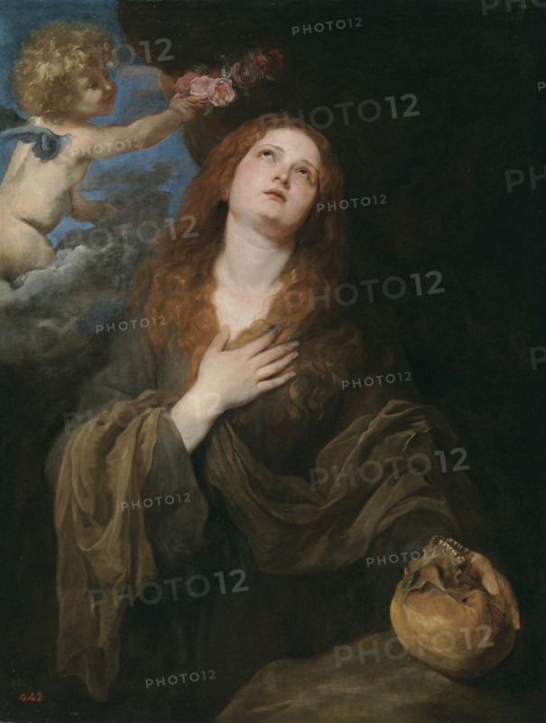 Saint Rosalia. Artist: Dyck, Sir Anthony van (1599-1641)