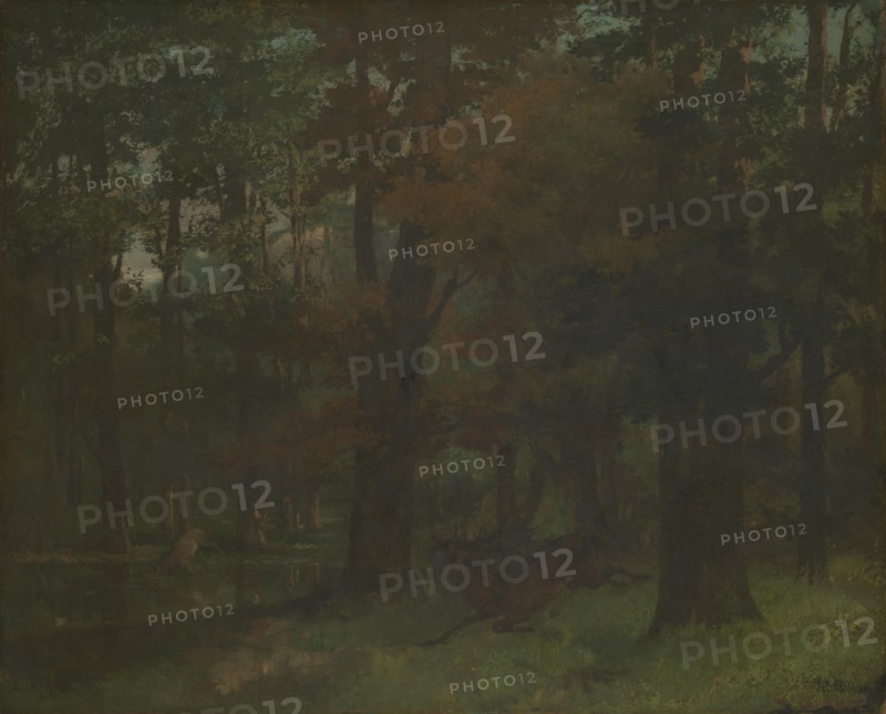 In the Forest. Artist: Courbet, Gustave (1819-1877)