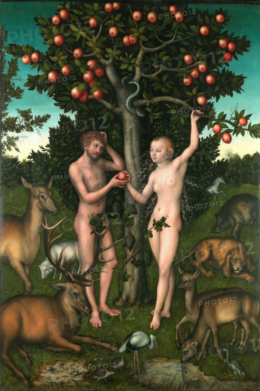 Adam and Eve. Artist: Cranach, Lucas, the Elder (1472-1553)