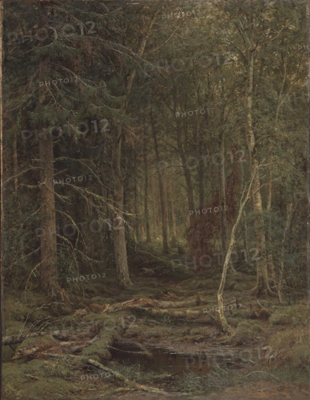 Backwoods. Artist: Shishkin, Ivan Ivanovich (1832-1898)