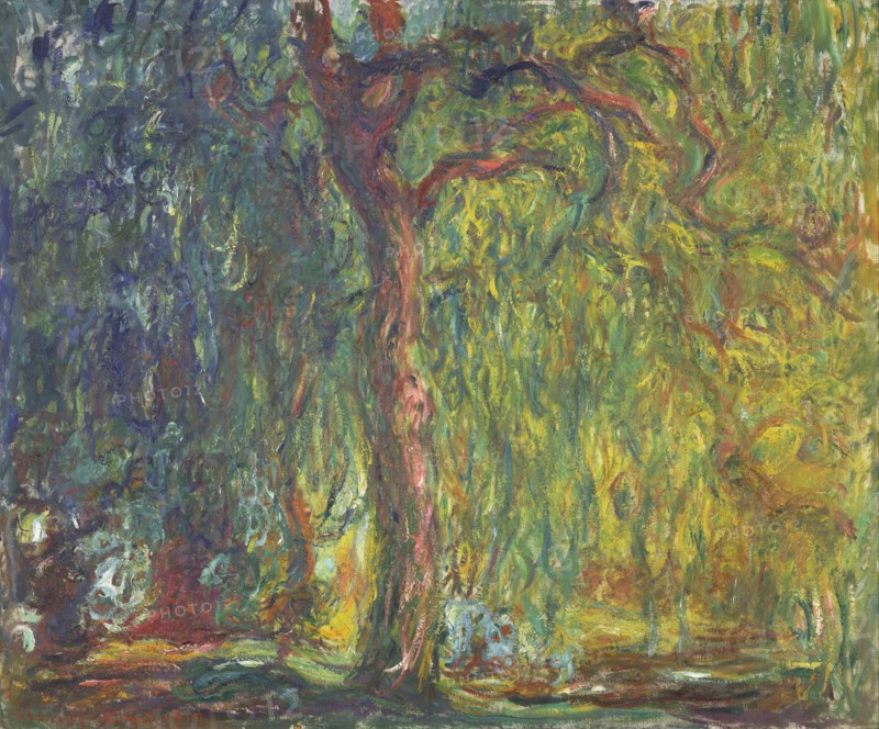 Weeping Willow. Artist: Monet, Claude (1840-1926)