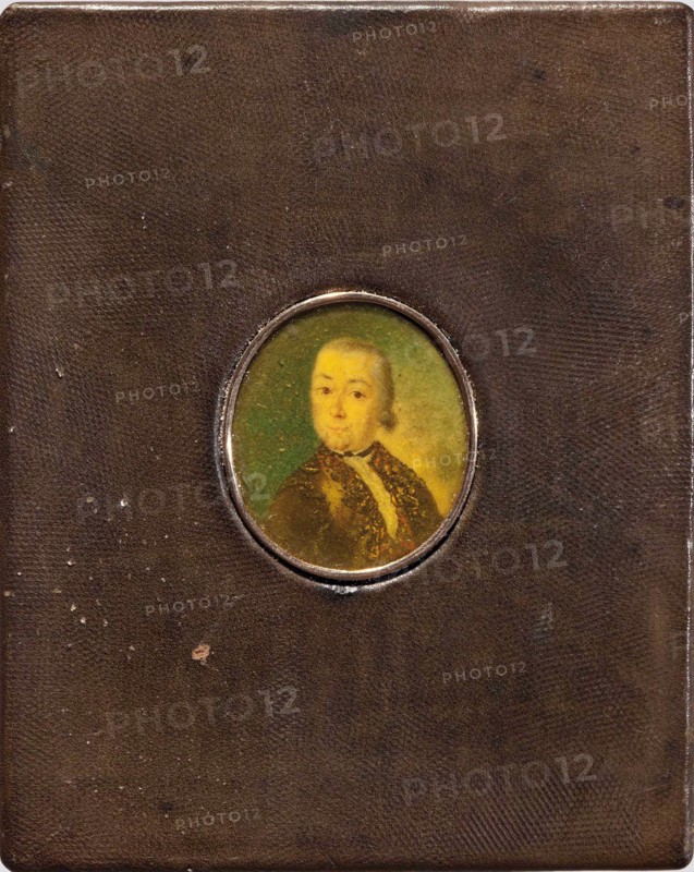 Portrait of Count Pyotr Semyonovich Saltykov (1697?1772). Artist: Anonymous