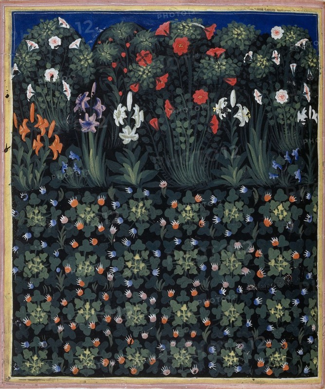 Garden (From Regia Carmina by Convenevole da Prato). Artist: Pacino di Buonaguida (active 1302-1343)