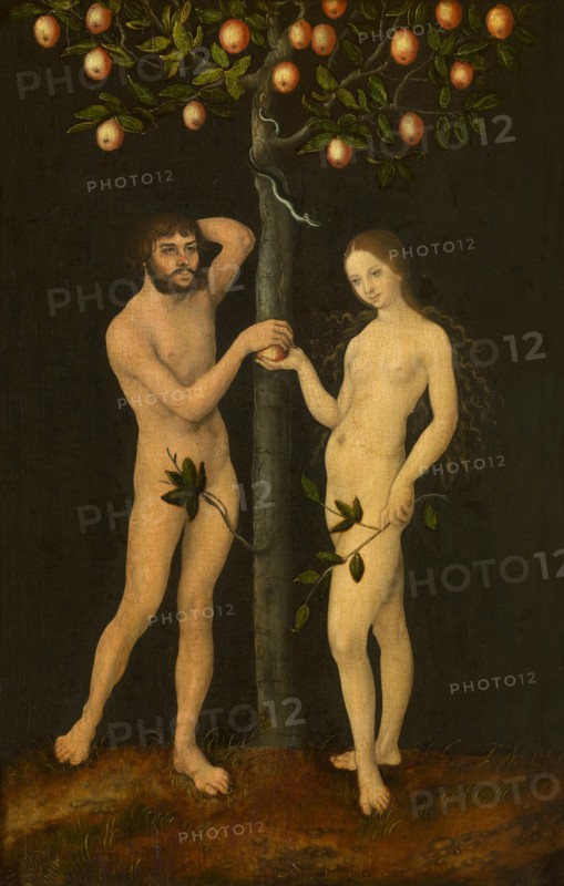 Adam and Eve. Artist: Cranach, Lucas, the Elder (1472-1553)