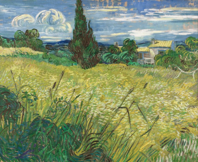 Green Wheat Field with Cypress. Artist: Gogh, Vincent, van (1853-1890)