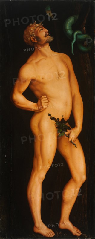 Adam. Artist: Baldung, Hans (1484-1545)