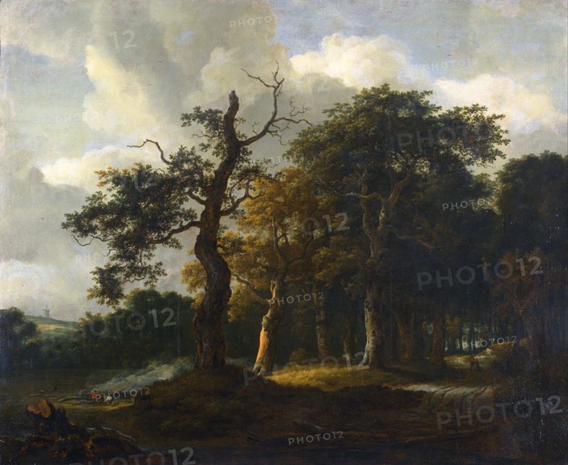 A Road through an Oak Wood. Artist: Ruisdael, Jacob Isaacksz, van (1628/29-1682)