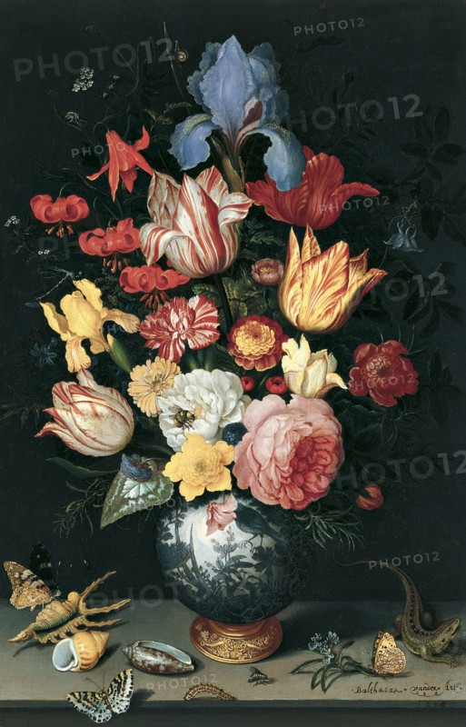 Chinese Vase with Flowers, Shells and Insects. Artist: Ast, Balthasar, van der (1593/4-1657)