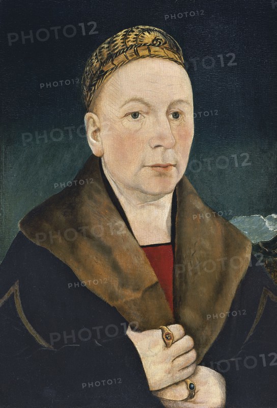 Portrait of a Man. Artist: Schaffner, Martin (ca 1478-after 1546)