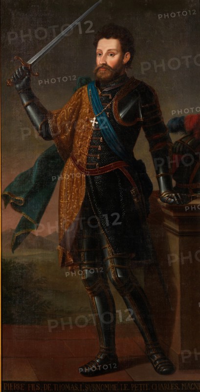 Peter II (1203-1268), Count of Savoy. Artist: Anonymous