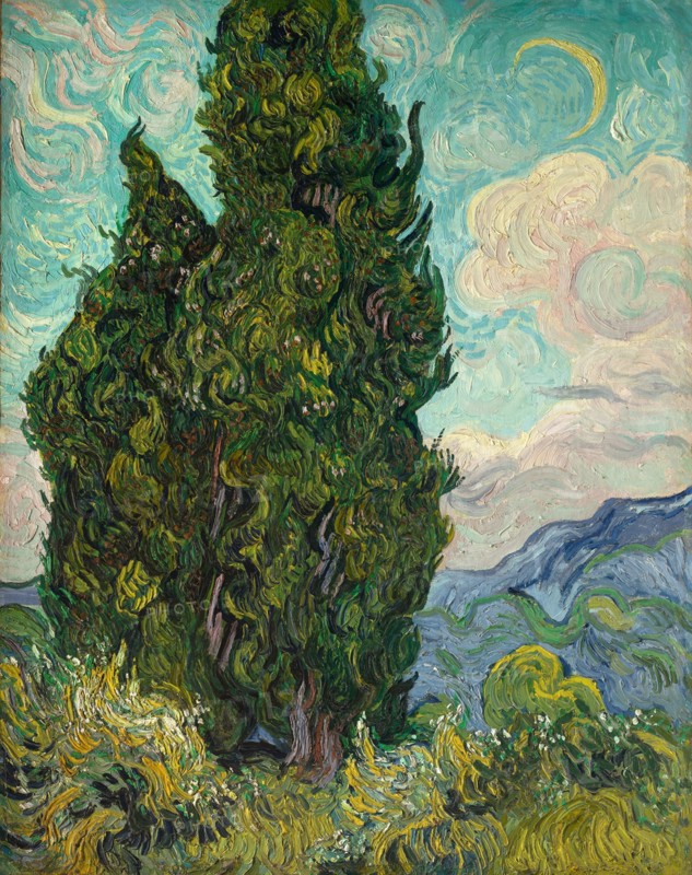 Cypresses. Artist: Gogh, Vincent, van (1853-1890)
