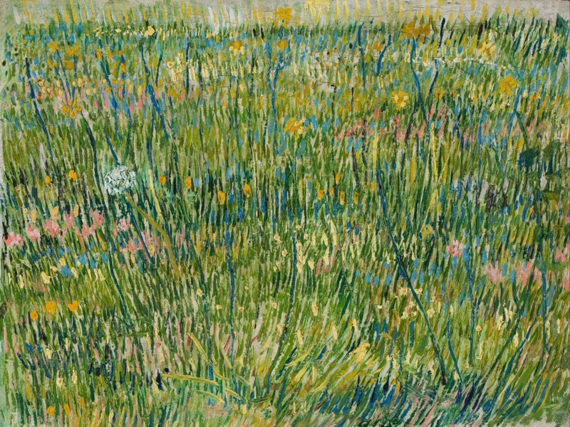 Patch of grass. Artist: Gogh, Vincent, van (1853-1890)