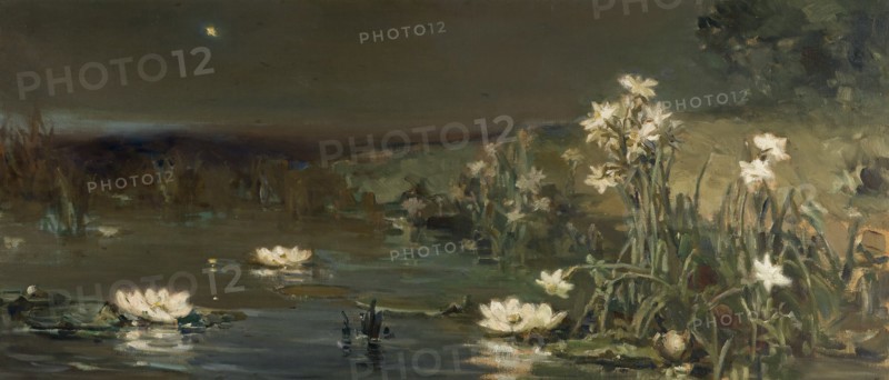 Star in the Night. Artist: Kotarbinsky, Vasilii (Wilhelm) Alexandrovich (1849-1921)