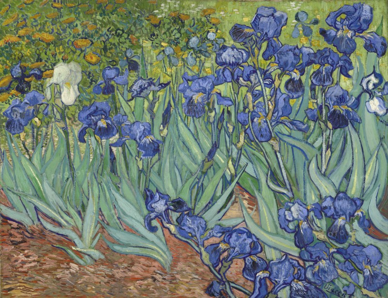 Irises, 1889. Artist: Gogh, Vincent, van (1853-1890)