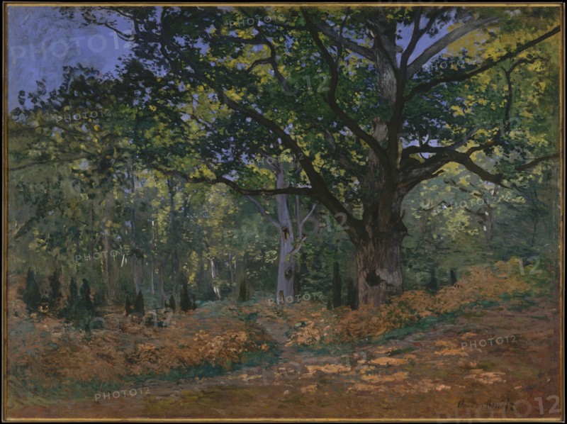 The Bodmer Oak, Fontainebleau Forest, 1865. Artist: Monet, Claude (1840-1926)