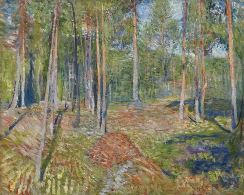 Pine Forest, 1891-1892. Artist: Munch, Edvard (1863-1944)