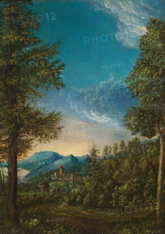 Landscape with Castle, c. 1525. Artist: Altdorfer, Albrecht (c. 1480-1538)