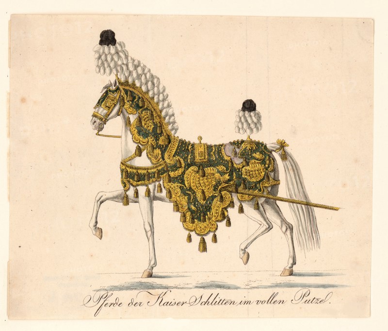 Decorated horse furniture of the Emperor's Ceremonial Horse-Drawn Carriages, 1815. Artist: Anonymous