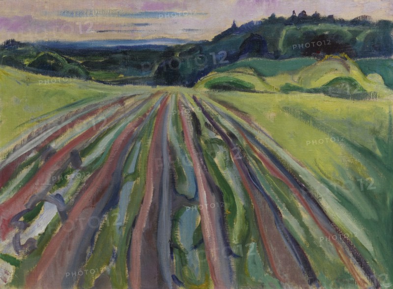 Ploughed field, 1916.