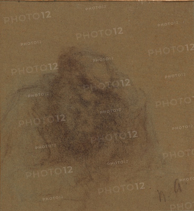 Portrait of the author Count Lev Nikolayevich Tolstoy (1828-1910), c.1901-1902.