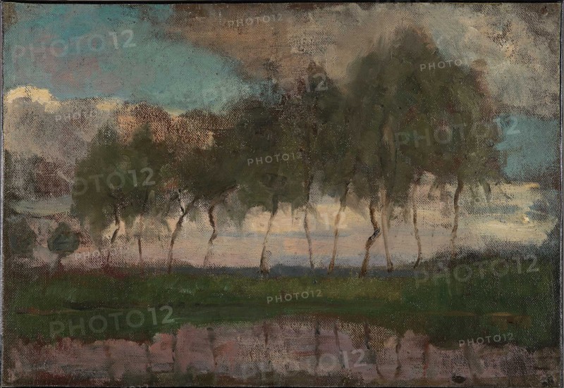 The Gein: Trees by the water.