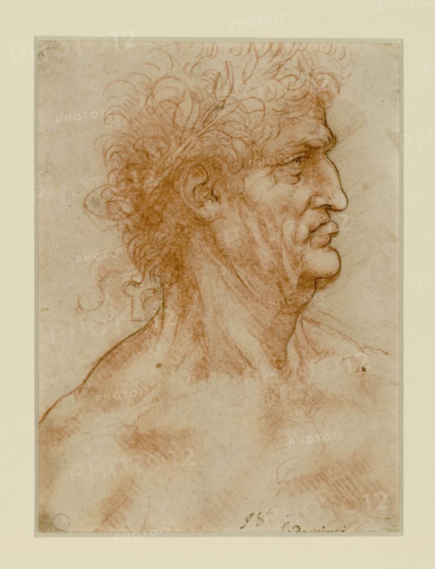 Head Of A Man In Profile Crowned With Laurel.