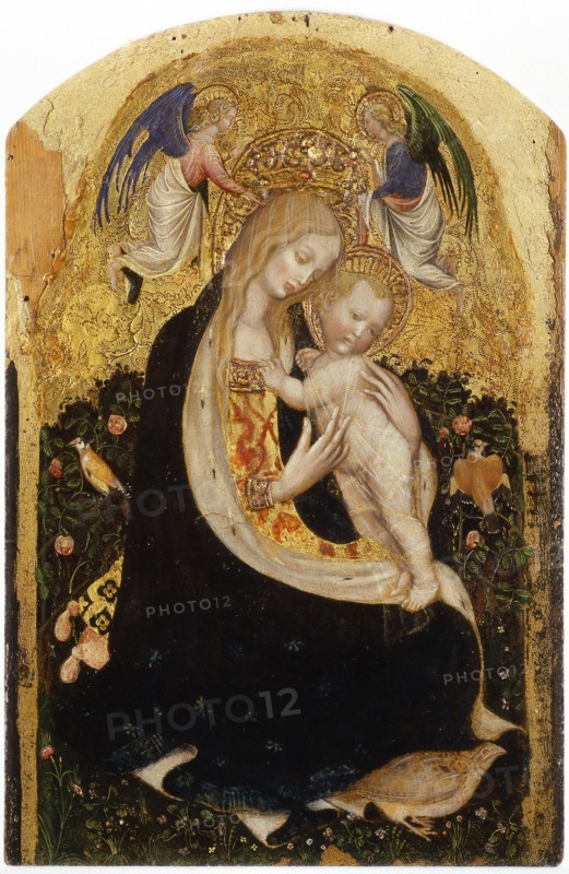 Madonna of the Quail (Madonna della Quaglia).
