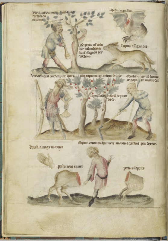 Liber Astrologiae.