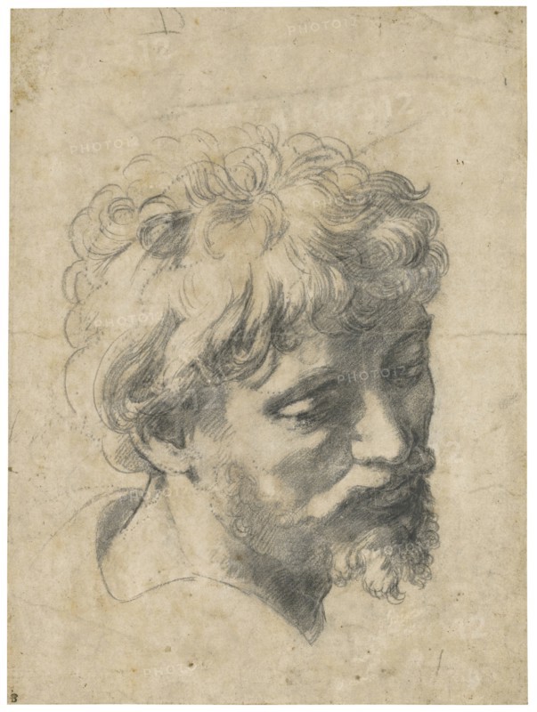 Head of a Young Apostle.
