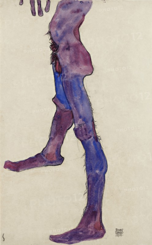 Male Lower Torso.