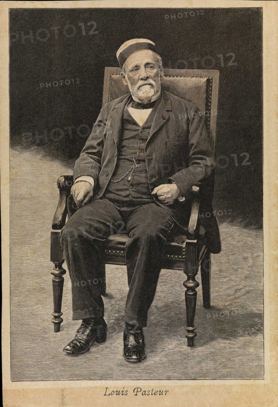 Portrait of Louis Pasteur (1822-1895).