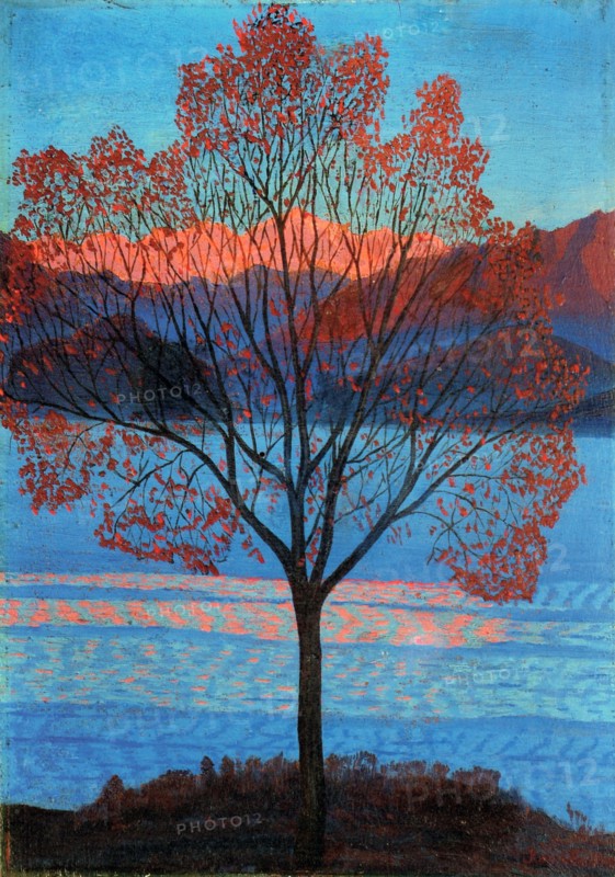 Landscape at the First Rays of Sun.