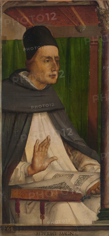 Albertus Magnus.