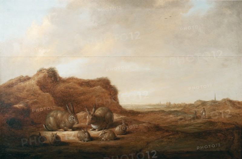 Landscape with rabbits.