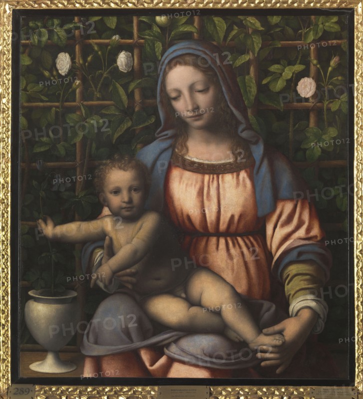 The Madonna of the Rose Garden (Madonna del Roseto).